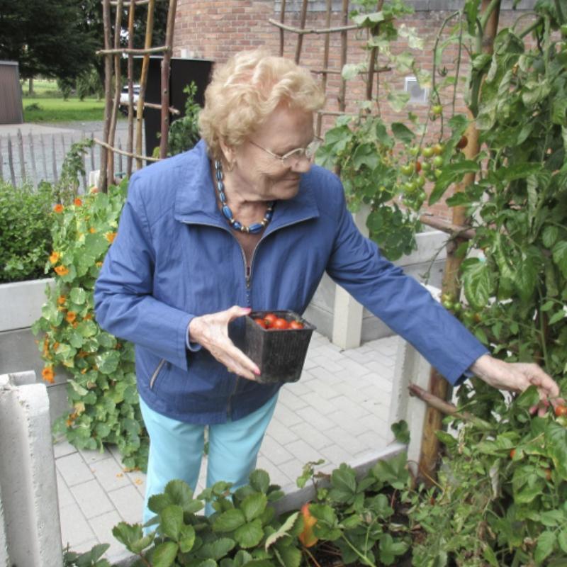 Activiteiten Activiteiten Maria Boodschap Niel