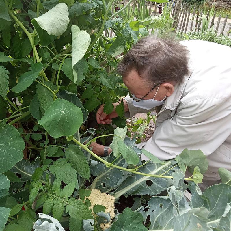 moestuin moestuin